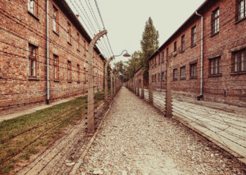 Auschwitz-Birkenau: Mroczne Dziedzictwo i Lekcje Historii