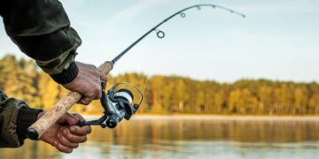 Stawy Wilczkowice: Raj dla wędkarzy i perła przyrody w Polsce