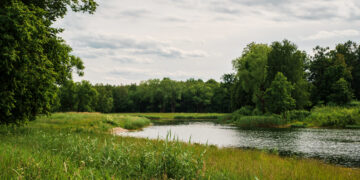 Brzeszcze i ich perła. Przekonaj jak urokliwe są Nazieleńce