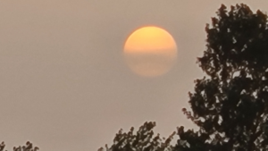 Pył z Sahary na polskim niebie